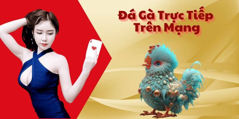 Tại sao nên tải app đá gà ngay hôm nay? Tại sao nên tải app đá gà ngay hôm nay?