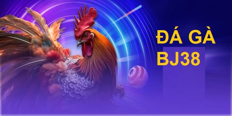 Nên lựa chọn địa chỉ xem trực tiếp đá gà casino 67 hôm nay ở đâu? Nên lựa chọn địa chỉ xem trực tiếp đá gà casino 67 hôm nay ở đâu?