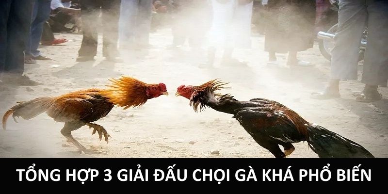 Tổng hợp 3 giải đấu chọi gà khá phổ biến