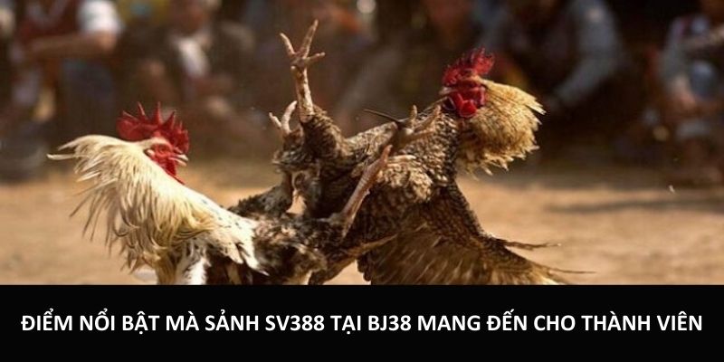 Điểm nổi bật mà sảnh SV388 tại BJ38 mang đến cho thành viên