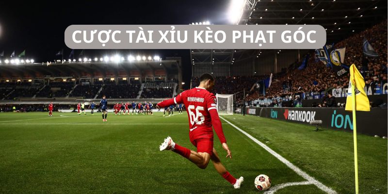 Cược tài xỉu mang lại nhiều chiến thắng lớn