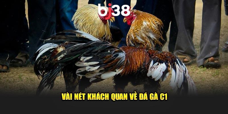 Trực tiếp đá gà thomo c1 có điều gì hay?