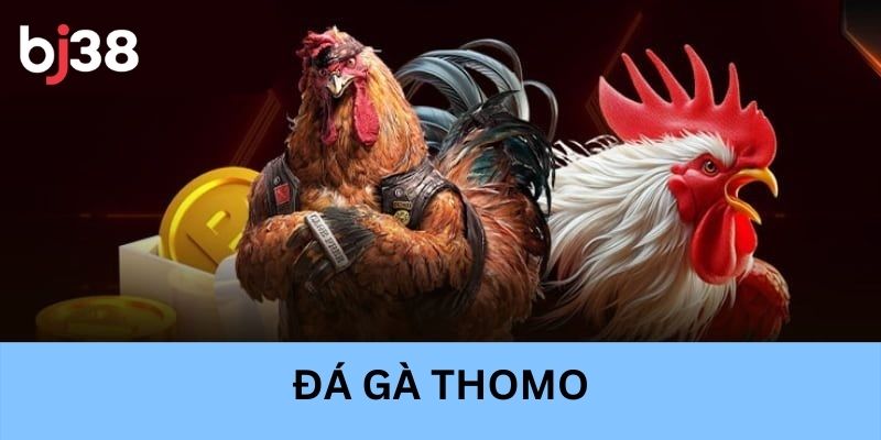 Đá gà Thomo