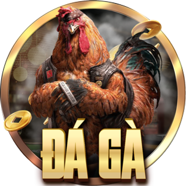 Đá gà