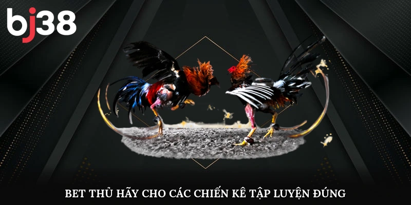 Bet thủ hãy cho các chiến kê tập luyện đúng 