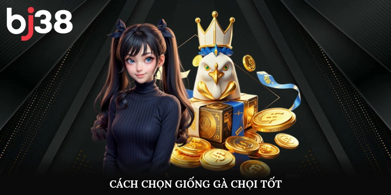 Cách chọn giống gà chọi tốt