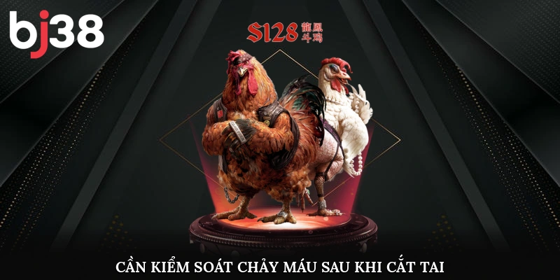 Cần kiểm soát chảy máu sau khi cắt tai