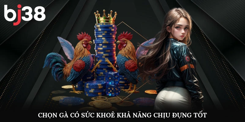 Chọn gà có sức khoẻ, khả năng chịu đựng tốt
