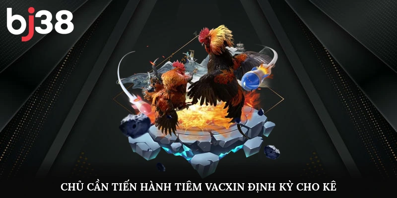 Chủ cần tiến hành tiêm vacxin định kỳ cho kê