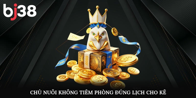 Chủ nuôi không tiêm phòng đúng lịch cho kê