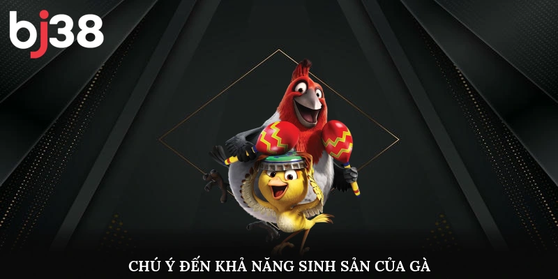 Chú ý đến khả năng sinh sản của gà