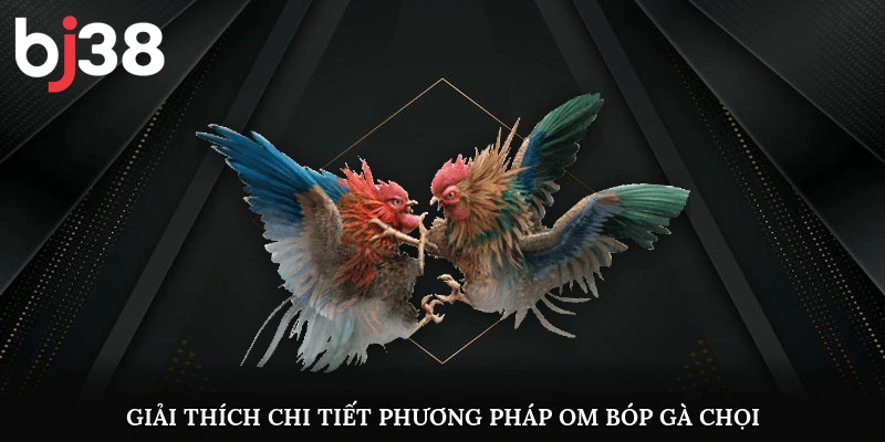 Giải thích chi tiết phương pháp om bóp gà chọi