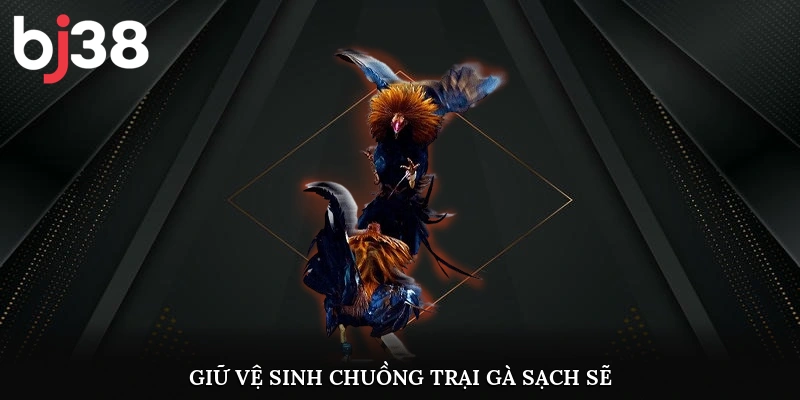 Giữ vệ sinh chuồng trại gà sạch sẽ