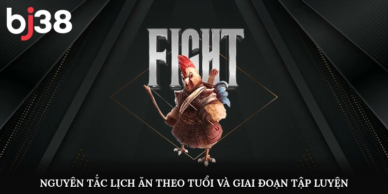 Nguyên tắc lịch ăn theo tuổi và giai đoạn tập luyện