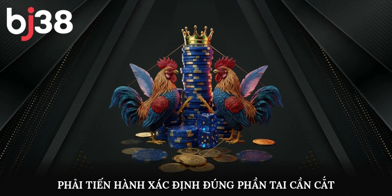 Phải tiến hành xác định đúng phần tai cần cắt