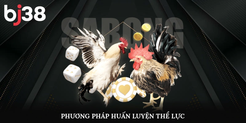 Phương pháp huấn luyện thể lực cho gà chọi chiến đấu
