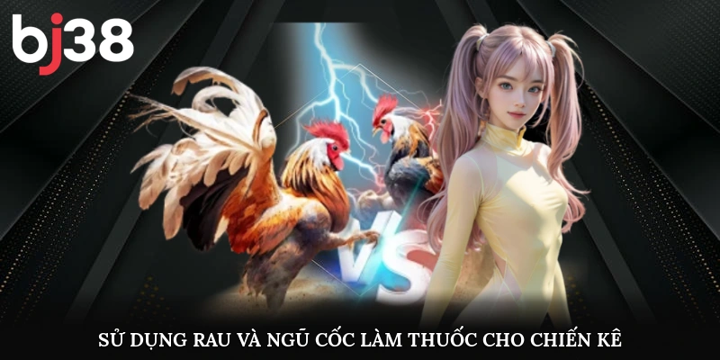 Sử dụng rau và ngũ cốc làm thuốc cho chiến kê