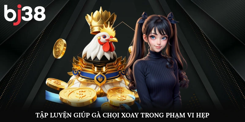 Tập luyện giúp gà chọi xoay trong phạm vi hẹp