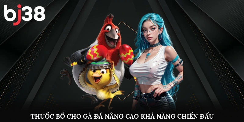 Thuốc bổ cho gà đá nâng cao khả năng chiến đấu